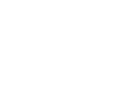 Logo Praktijk AVA | Acupunctuur van Anne